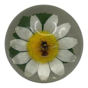 VTG Clear Lucite Taxidermy Bumblebee on Daisy Paperweight Oddity Bumble Bee